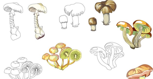 stock-vector-set-mushrooms-contour-black-white